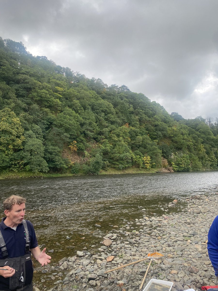 Miss Woodhead tweet media