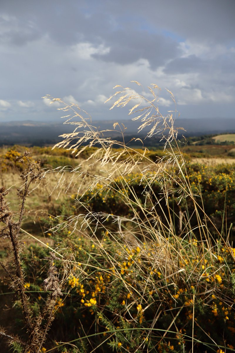 Clee Hill Common, Shropshire.