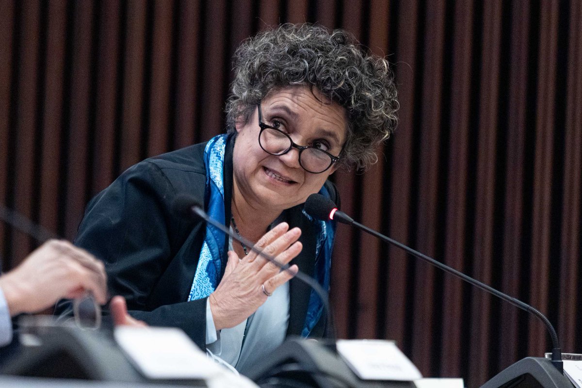 IDEA Internacional América Latina y el Caribe tweet media