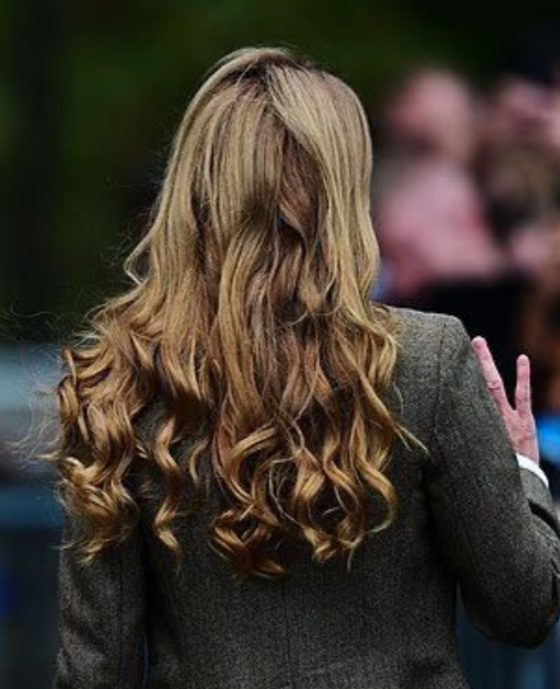 NWDisorder1111's tweet photo. Imagine what she'd look like if she couldn't afford the best hairdresser and most expensive products in the world. 

#KateWhatReallyHappened
#RoyalDeception
#AbolishTheMonarchy https://t.co/sI4lSfEhcg