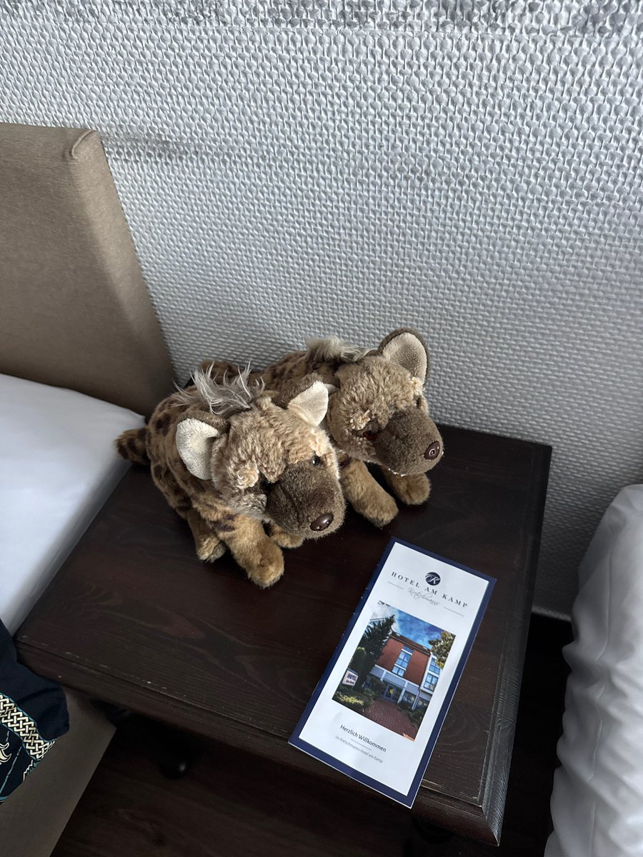 Husky_Jason's tweet photo. Work trip , good vibes ,….☺️🐕

📍Hannover/Laatzen https://t.co/69N4JovJDa
