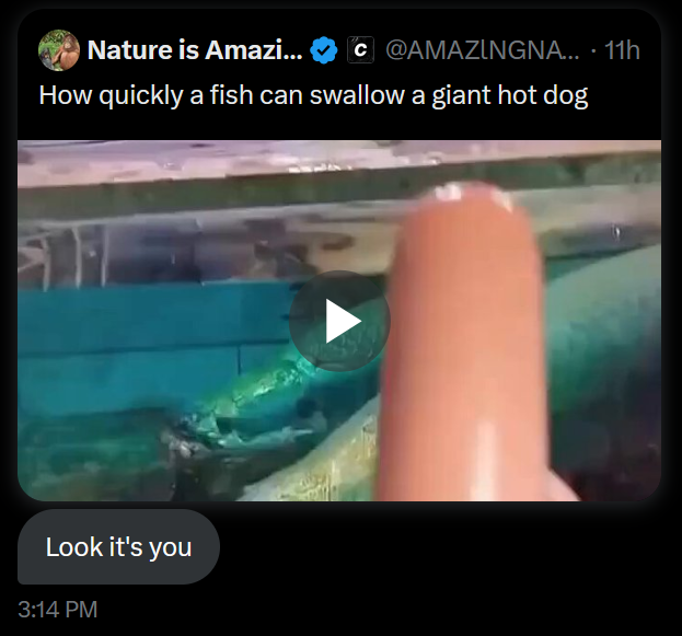 DnnrPants tweet media