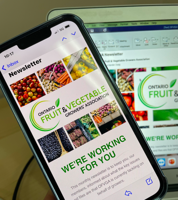 OFVGA Newsletter: We are working for you - mailchi.mp/45d201b5e5d2/o…