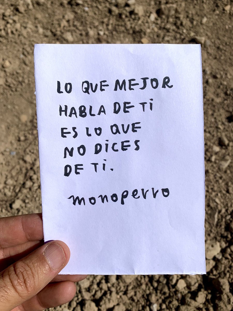 monoperro tweet media