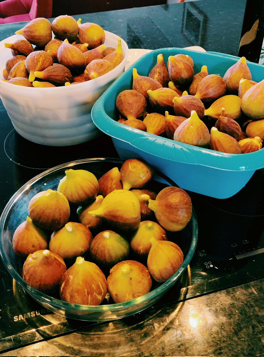 Max Hélias tweet media