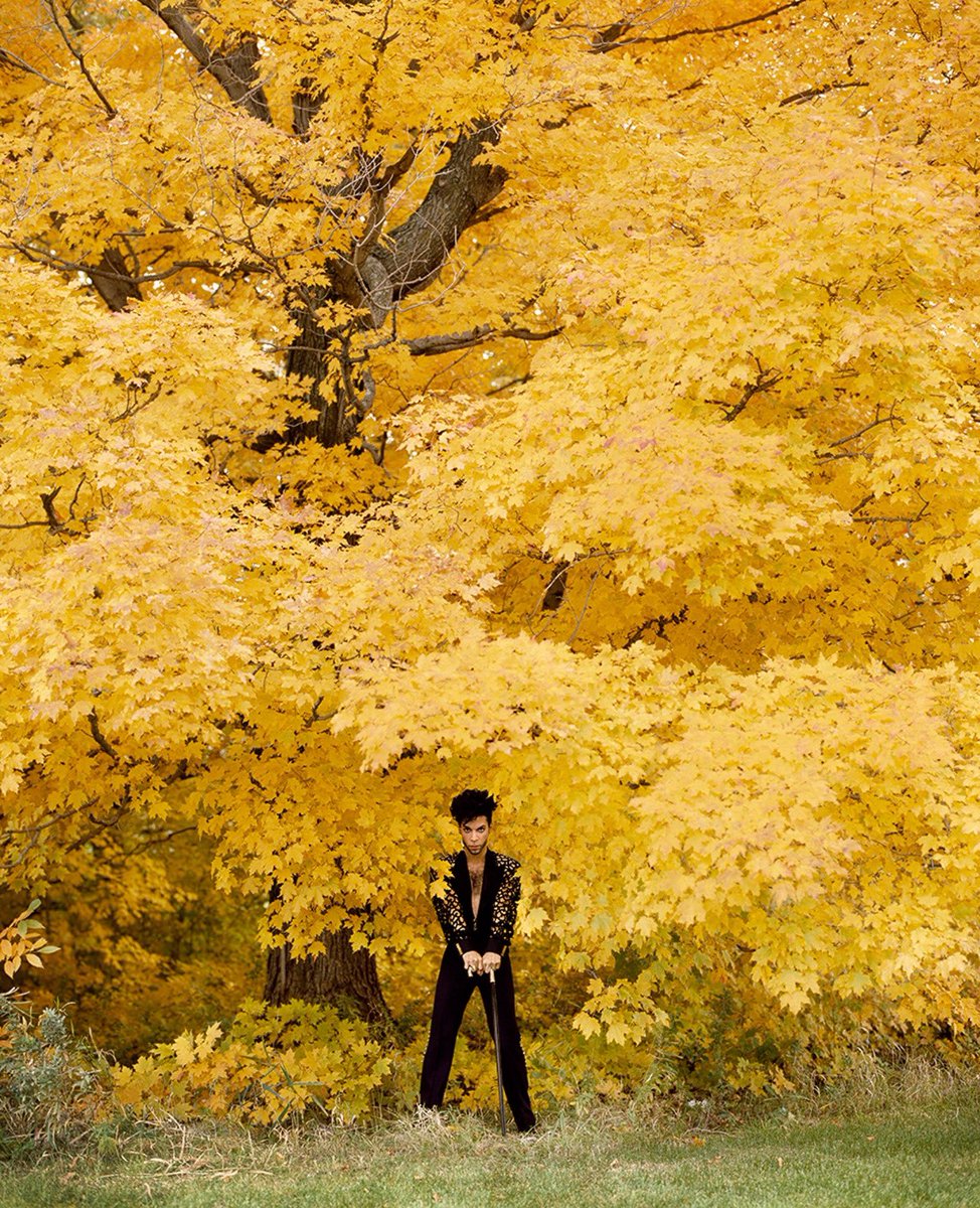 Prince in custom Armani, 1991

📸: Herb Ritts