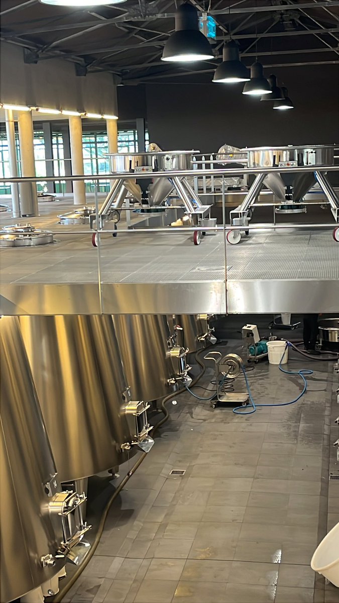 Pichon Comtesse 2025 - Day 4 - Picking Merlot in perfect shape and state of health - Powdery tanins and delicate &amp; juicy aromatic structure  … like a piece of art - Let our imagination wander…
#PichonComtesse #TheBestIsYetToCome