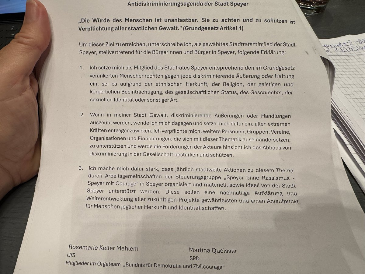 Sämtliche Fraktionen des Speyerer Stadtrats sprachen sich für die Agenda aus, die den aussagekräftig verkürzten Artikel 3 Abs. 3 enthält. Siehe Foto. 
Aber: Laut Grundgesetz  darf niemand neben seiner Abstammung, seiner Rasse, seiner Sprache, seiner Herkunft, seines Glaubens,