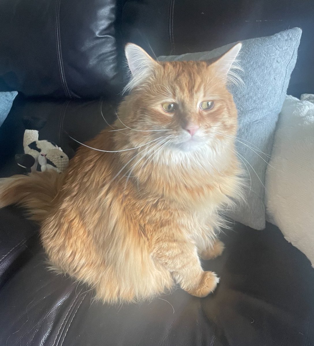 Is it just me or does he look a bit heartbroken here