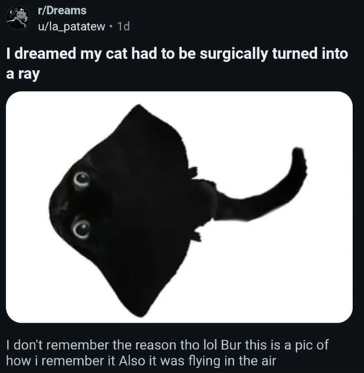 h/t #TwinPeaks Logposting