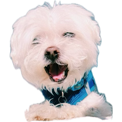 Today also makes a year since my last solo adventure with my son… I miss you Boog 😔💔