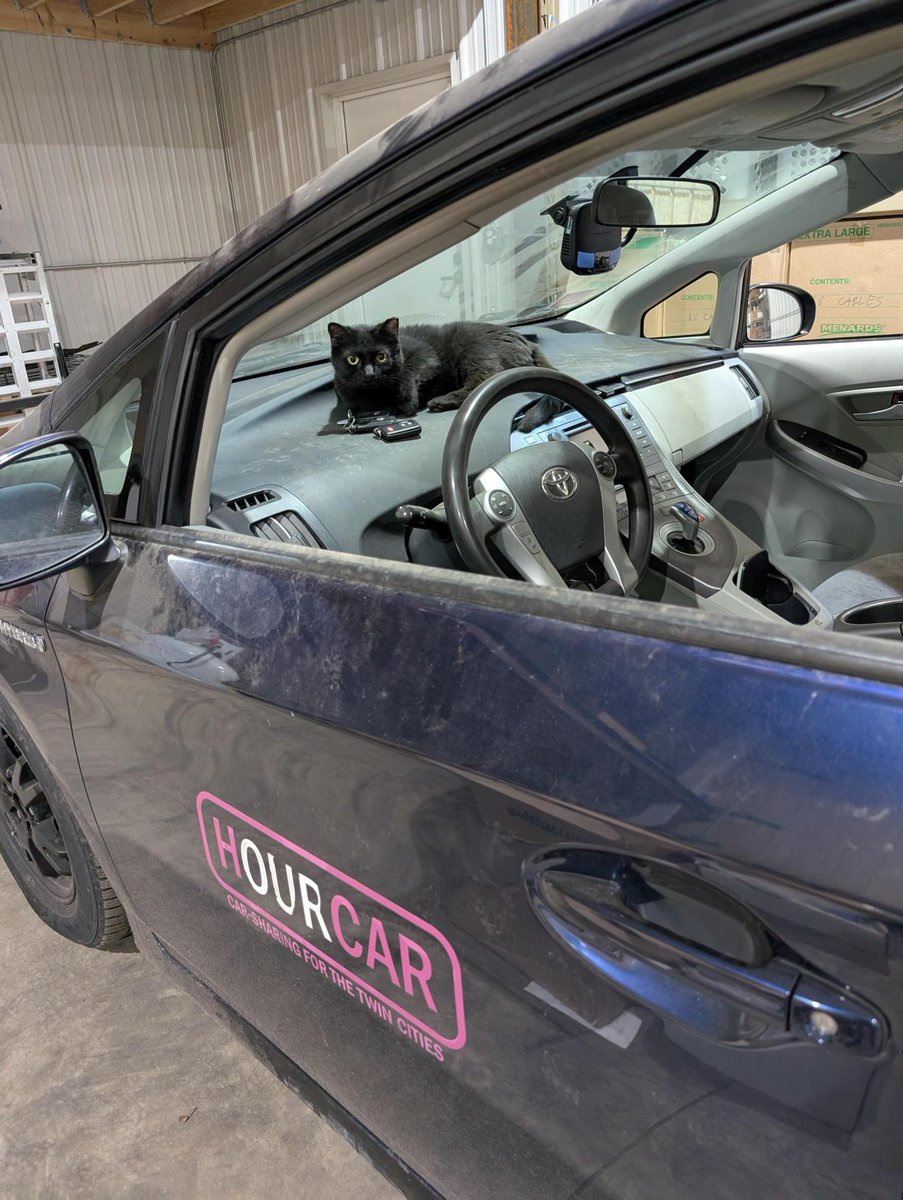 Evie Carshare tweet media