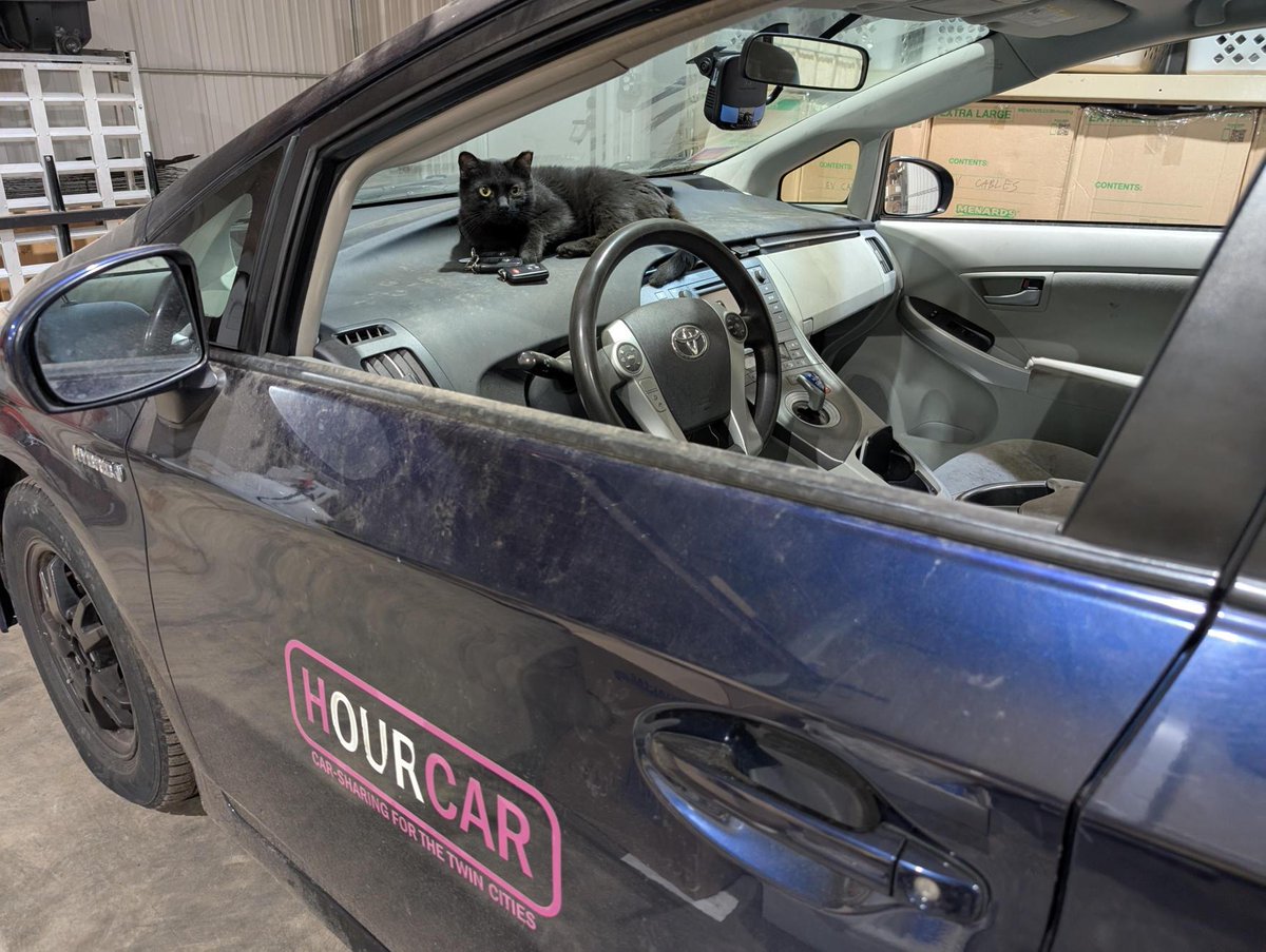 Evie Carshare tweet media