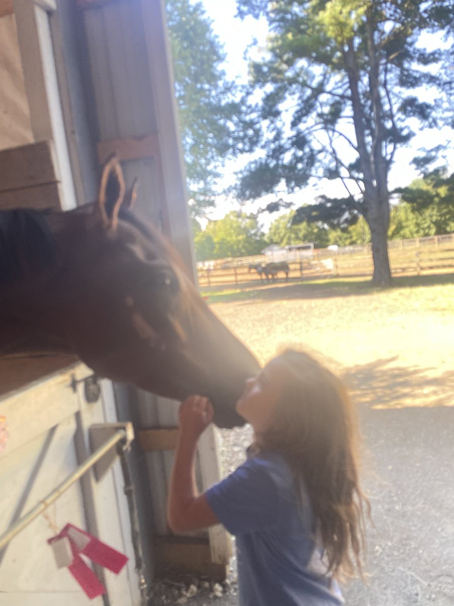 Come Dream With Me, retired, Connie DeMaio will find him a good home, 👍