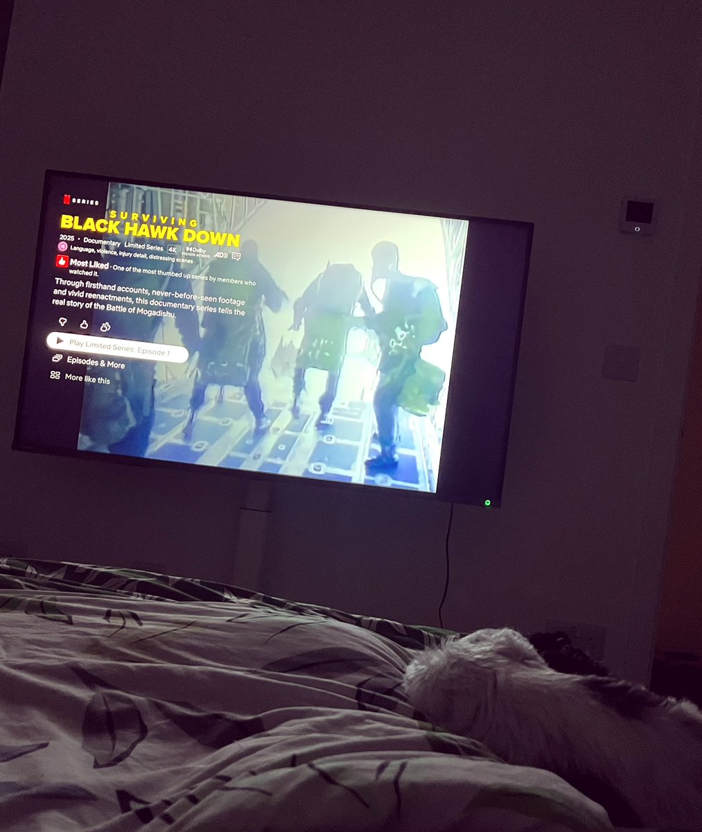 eneribehave's tweet image. Hi guys I’m using my tv and not the laptop for tonight’s #documentary. Hope this helps you sleep tonight! @ScouseTravel @Scottlfc87