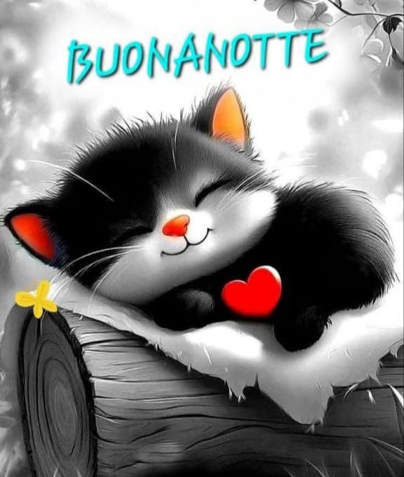 <a href="/simonet51190685/">Simonetta</a> <a href="/MonicaSans2012/">Mónica Sans</a> <a href="/LudMila0462/">LudMila</a> <a href="/rorimaig/">rosa maria calvo</a> <a href="/RossiNoegassi/">noemi garcia rossi</a> <a href="/sogno74/">sil</a> <a href="/kenzia2009/">🕉Palma🕉</a> <a href="/ania2012/">Anna Aleksandrowna</a> <a href="/debosag63/">debora🌞</a> <a href="/bochkunova1/">Ekaterina Bochkunova</a> <a href="/patto1406/">Patricia Ballestero</a> <a href="/lieve_vda/">✌🏻️lieve ✌🏻️</a> <a href="/Rubia9375/">María Jesús</a> <a href="/burbucris/">🎵🎶Cristi🐱❣️</a> <a href="/verodlv/">Vero de la Vega</a> <a href="/ceciliacarfana/">cecilia carfaña</a> <a href="/elviabellotti/">Elvia Bellotti</a> <a href="/Susy_Mad/">Susana</a> <a href="/barbarasivini1/">🐱🤘Barbara🤘🦉</a> <a href="/Bmeryb/">Maria Bosio</a> <a href="/annebel2/">Anne Vliebergh</a> <a href="/amigas_arana/">amigas de facundo arana</a> <a href="/alessandraprior/">alessandra priori</a> <a href="/patriziacaria/">Patry 🇮🇹 💗</a> <a href="/cecimallo/">cecilia mallo</a> <a href="/manubell74/">manuela bellamio</a> <a href="/Elenapiredda4/">Elena piredda</a> Sogni d'oro, carissima Simo! Un bacione! 🫂😘😘✨️😽😽
Buenas noches a todas 😴😘✨️