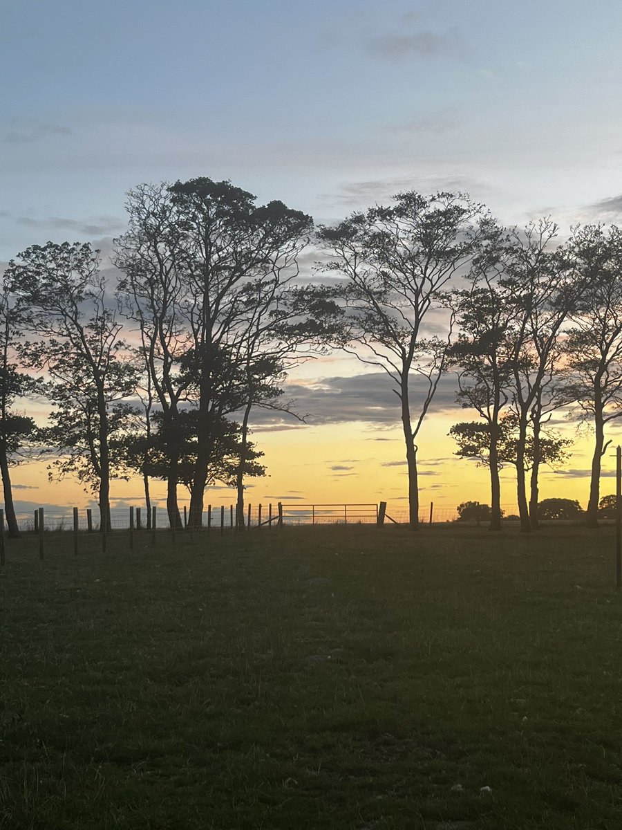 Balmonth Farm tweet media