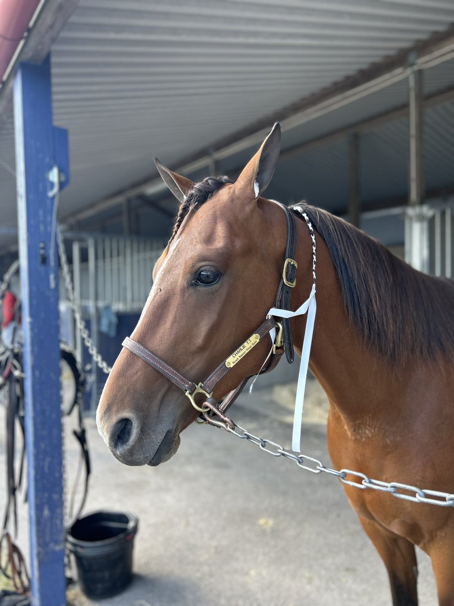 V75 på lördag. Spår 1 i en spårtrappa. Kul!