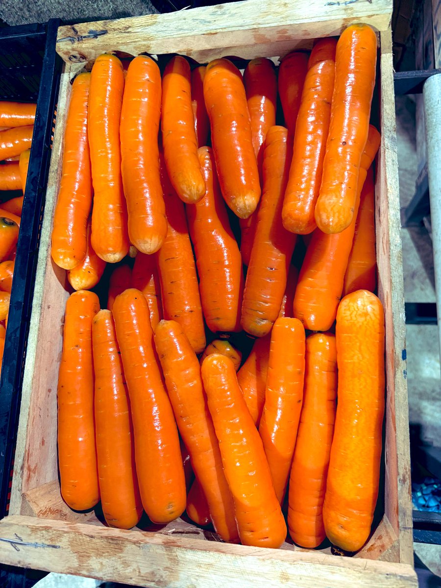 AntoGordillo's tweet image. 🥕 Una zanahoria al día puede cambiar tu salud.
Protege tu vista, fortalece tu piel, cuida tu corazón y ayuda a tu digestión.
Un alimento simple, barato y natural que te defiende del envejecimiento y las enfermedades.

Comer zanahorias en la diaria es invertir en tu bienestar.