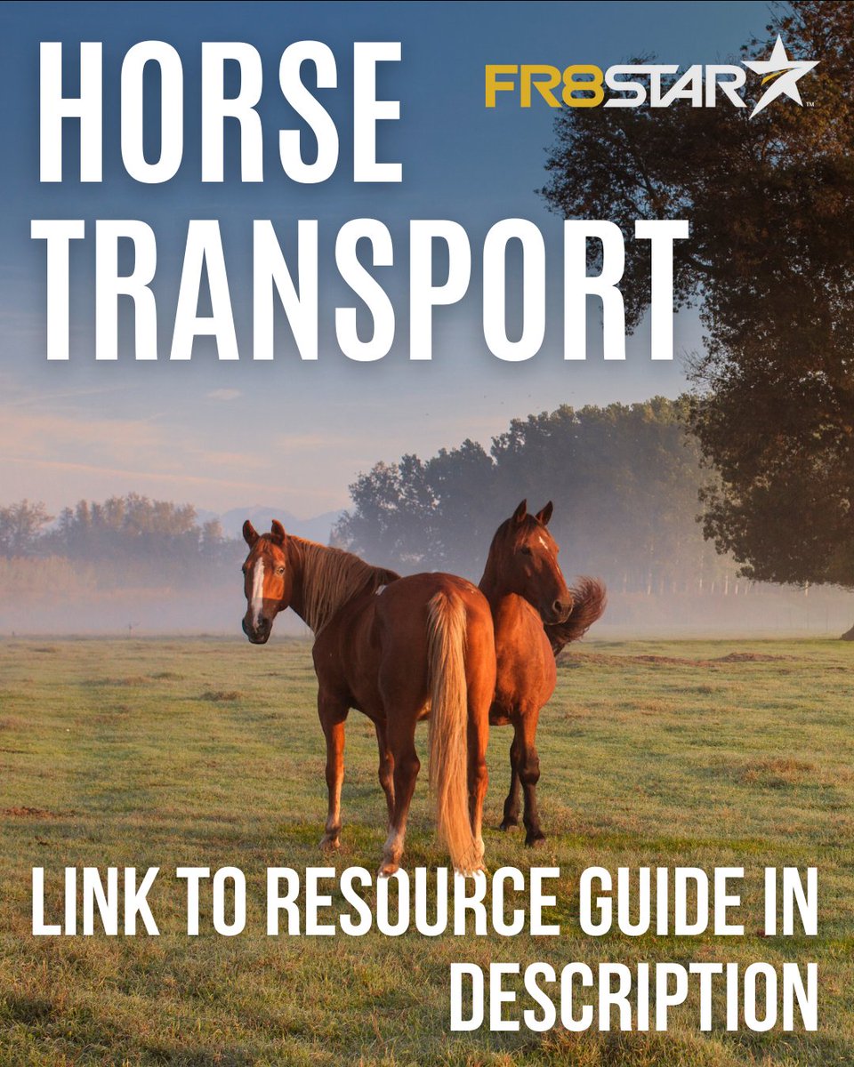 TheFR8Star's tweet image. What Should I Consider When Transporting Horses? 🐎

➡️ Trailers hold only 2-3 animals at a time
➡️ Make regular, timed stops on trips
➡️ Monitor weather &amp;amp; make accommodations

Link to resource guide 👇
🔗 ow.ly/5rT750WQxcn

#HorseTransport #ResourceGuide #FR8Star