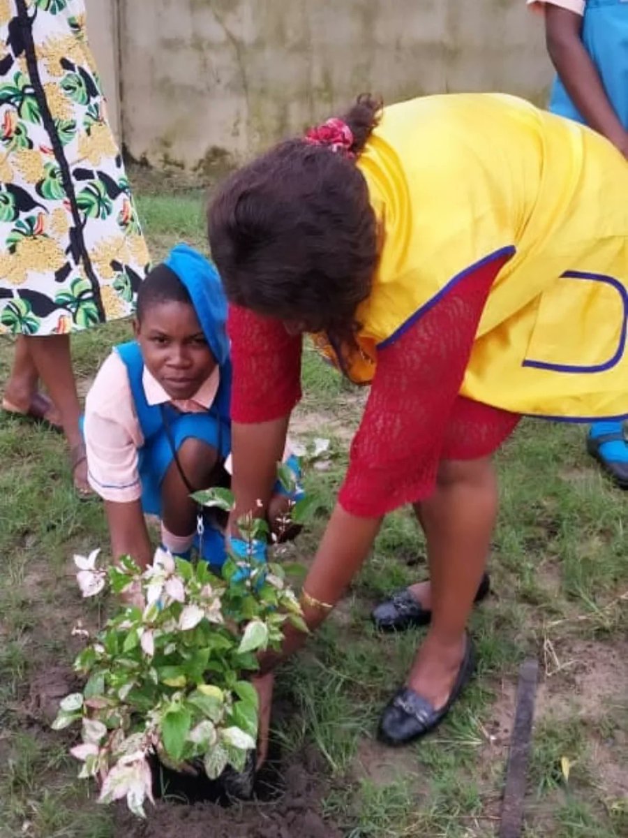 District404A2's tweet photo. PhotoNews: Port-Harcourt Platinum Lions Club Tree Planting project at Junior Secondary School, Rumuodamaya Port-Harcourt, Rivers State, Nigeria https://t.co/aYzU8Jl0JX
