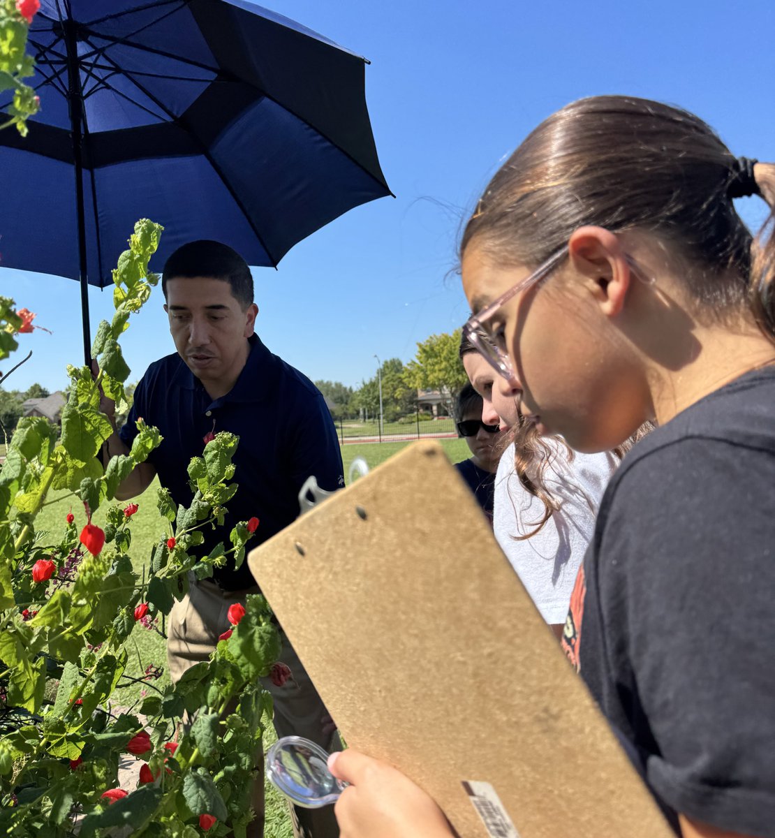 Maria Paoli-Vega tweet media