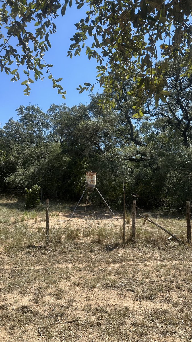 Took part of the day off to take care of some issues at my deer hunting lease.  While working on my game camera my phone buzzed.  It was a <a href="/pricelinkio/">Price Link</a> alert for an item I was waiting for WM to come back into stock for a replen. Placed my order and continued my day.