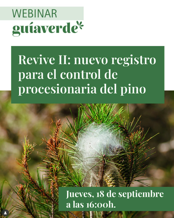 ‼️ Se acerca el momento del tratamiento de actuar frente a la #procesionaria del pino. ¿Estás preparado?
✅ Webinar de <a href="/guiaverdecom/">Guíaverde</a>. 
▶Apúntate aquí: my.demio.com/ref/PzbEbUNJjl…