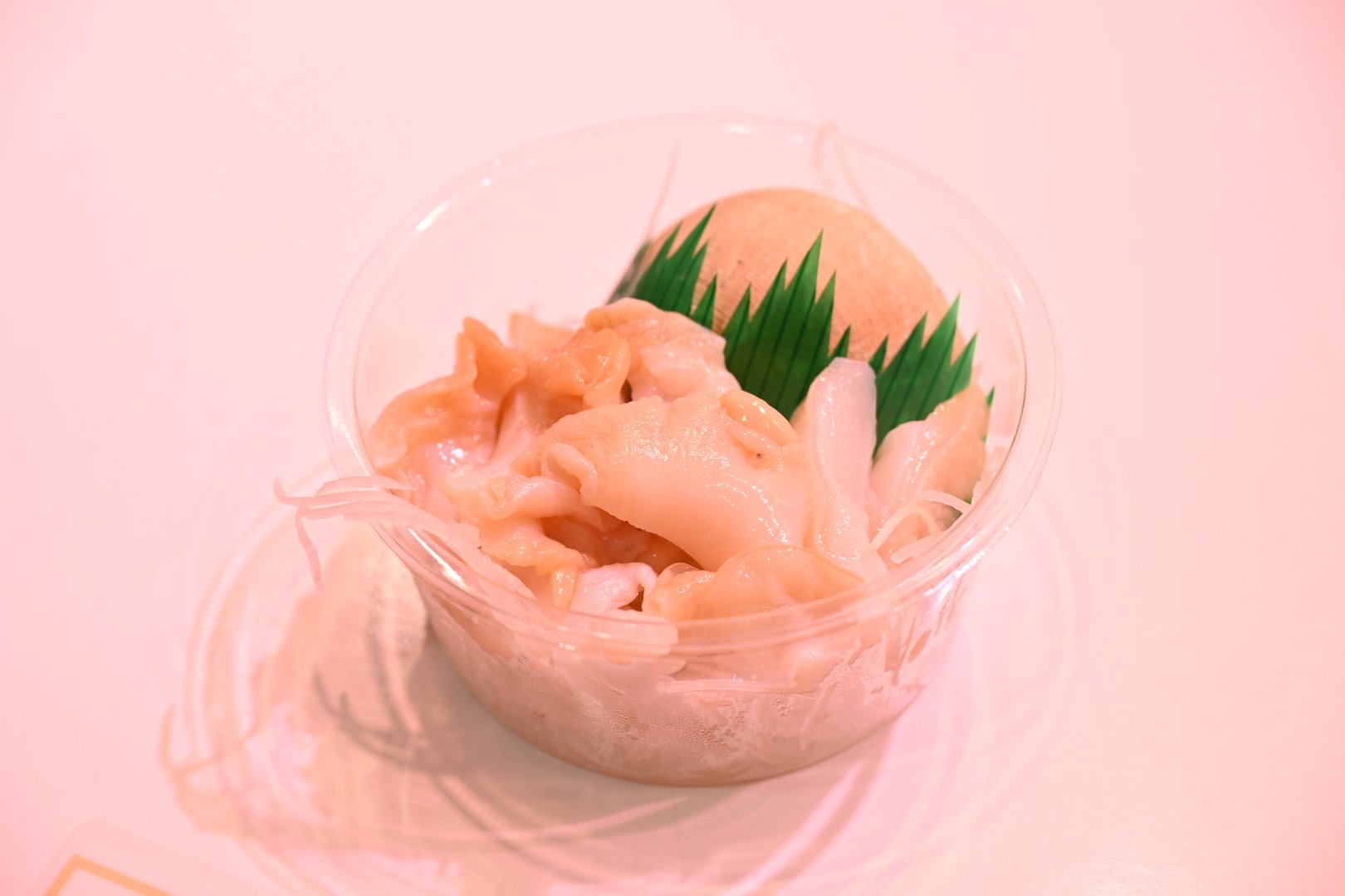 にゃんころもち にゃんころもち (@sakura_nyancolo) / X