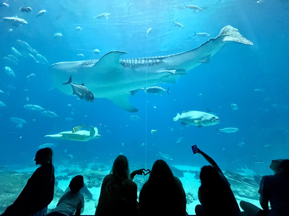 better with you, happy birthday💘