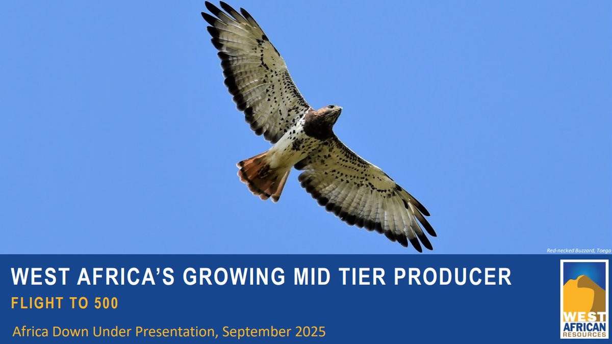 West African Resources tweet media