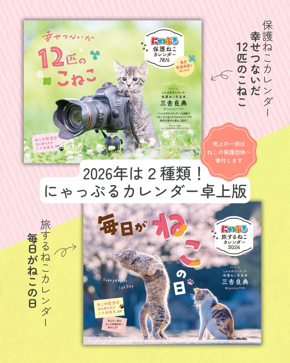 にゃっぷる編集部 (@mapple_nyapple_) / Posts / X