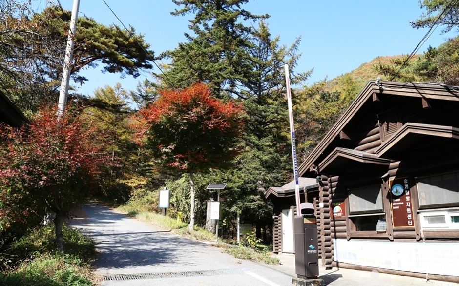 경남 거창군에 있는 덕유산은 국립공원으로 지정되어서
아름다운 풍경을 자랑하는 곳이니 지리산 덕유산 등등 좋은산이 많이 있어요

<a href="/OpenledgerHQ/">OpenLedger</a> $OPEN