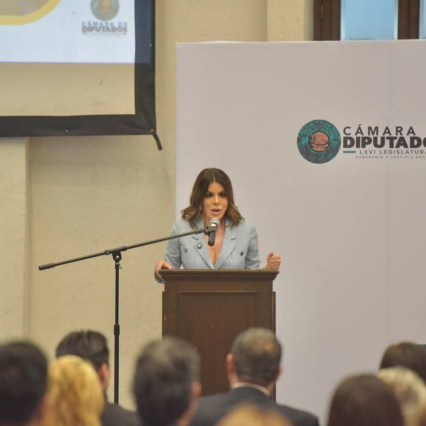 MovCiudadanoJal's tweet image. Nuestra diputada federal @ClaudiaSalasGDL presentó su Primer Informe Legislativo, destacando acciones en favor de la seguridad, la conectividad, las mujeres, la inclusión de personas neurodivergentes y un presupuesto digno para nuestro estado.