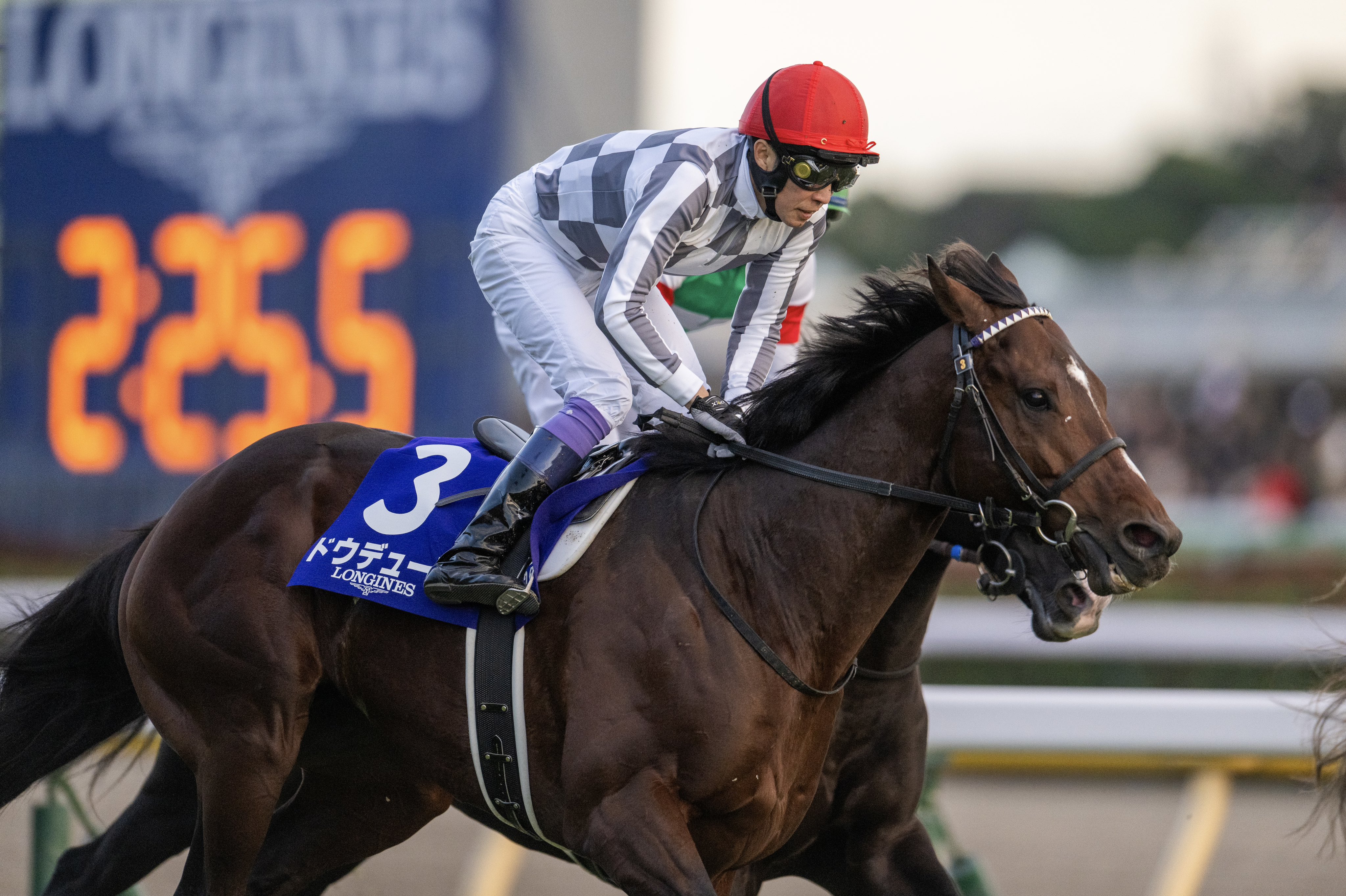 Buntaro (@Bun_horseracing) / X