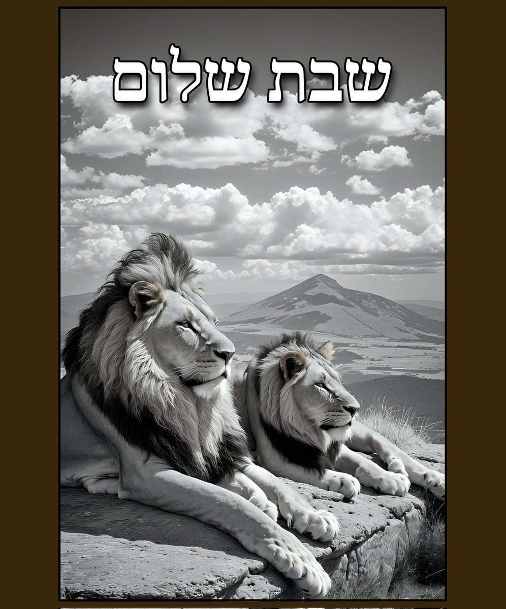 Silvia Elizabeth Palacios tweet media