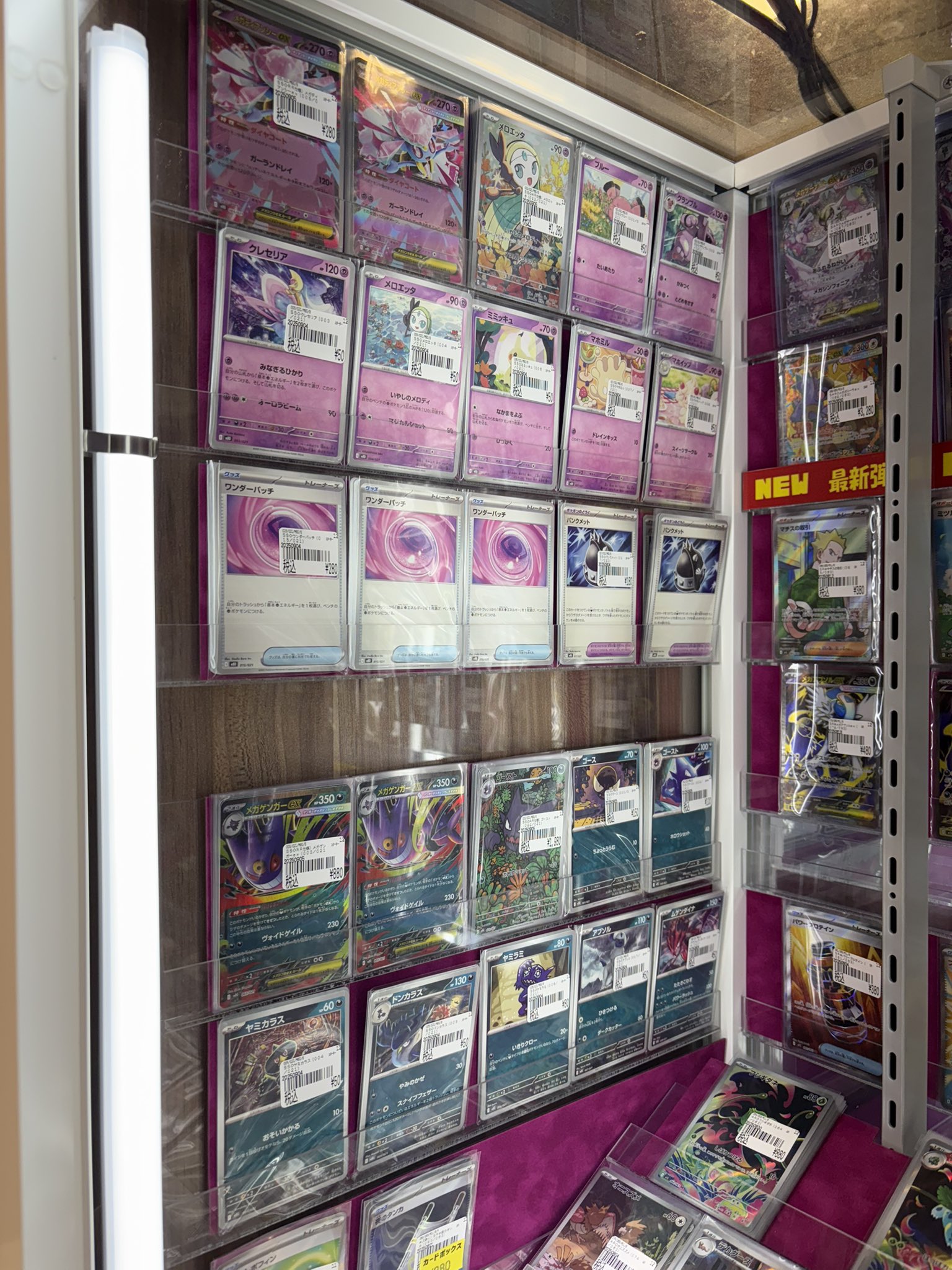 20箱分メガゲンガースターターセット サプライ