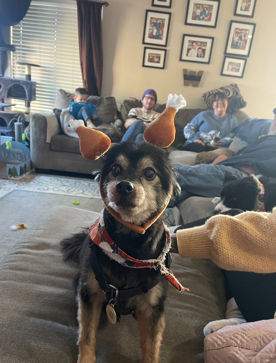 Renaming the Department of Defense to the Department of War, because it is more intimidating to our adversaries, is stupid.

I mean, I could rename Ted to Brutus, but he won't be anymore, or less, dangerous.