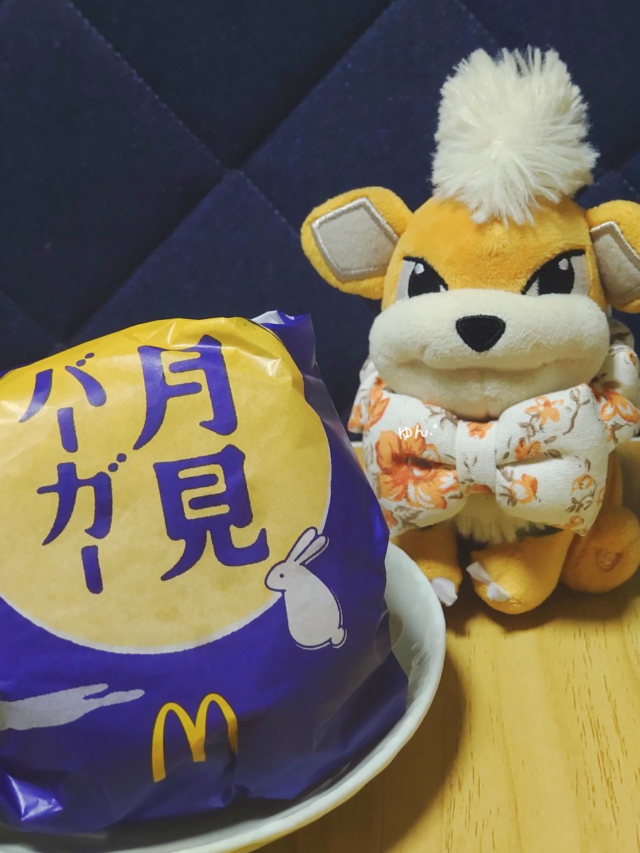 今年もこの季節が来たよ こたろ🍴♡
#ポケモンfit