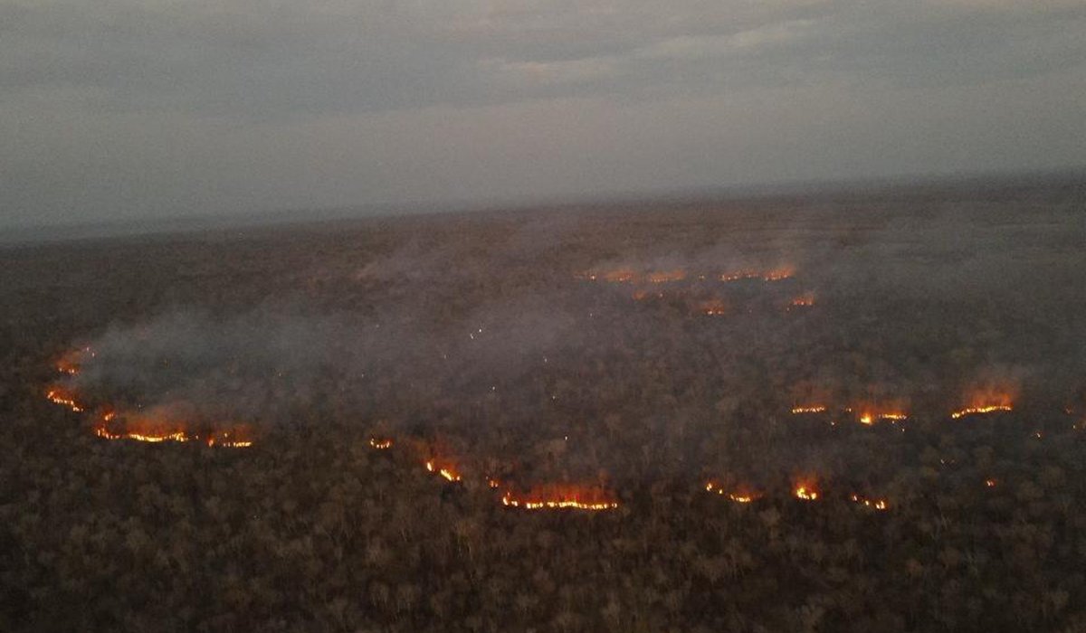 eldiabolivia's tweet photo. Reportan siete incendios en Santa Cruz; el gobierno remarca que el impacto es menor que en 2024
https://t.co/YBVckczsNB

#IncendiosForestales #Satif #SantaCruzBo
#ElDíaBolivia https://t.co/x4B9Zwwsly
