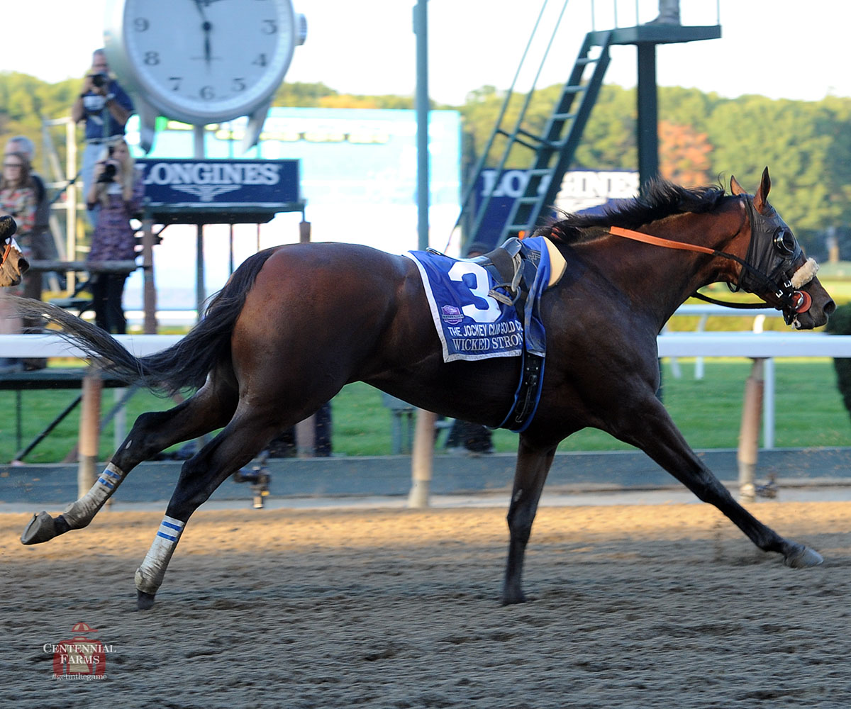 Antiquarian's win in an eventful Jockey Club Gold Cup reminded us of 2 races - his dad's Woodward, of course, and, #throwbackThursday, Wicked Strong's first attempt to take the #JCGC. Like Mindframe, he was impeded with, lost his rider, &amp; a horse was DQ'd for the incident. (1/2)