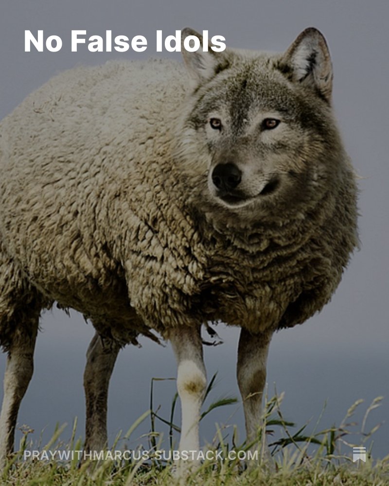 We live in an era where people want someone to tell them everything is going to be okay. What if everything is not going to be okay?