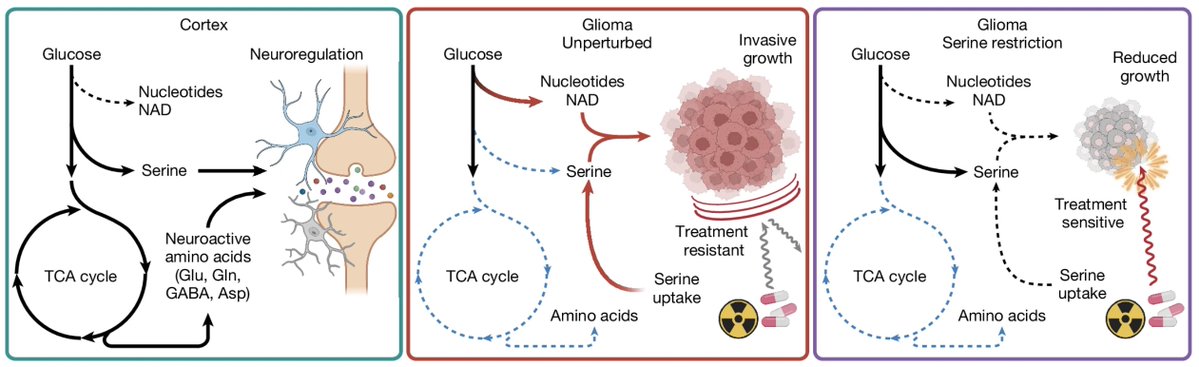 Drew Scott tweet media