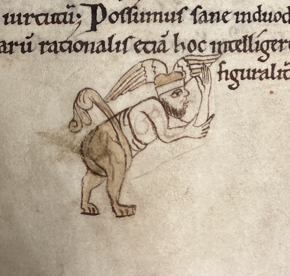 peter toth tweet media