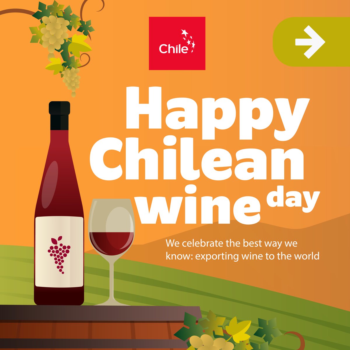 ProChile USA tweet media