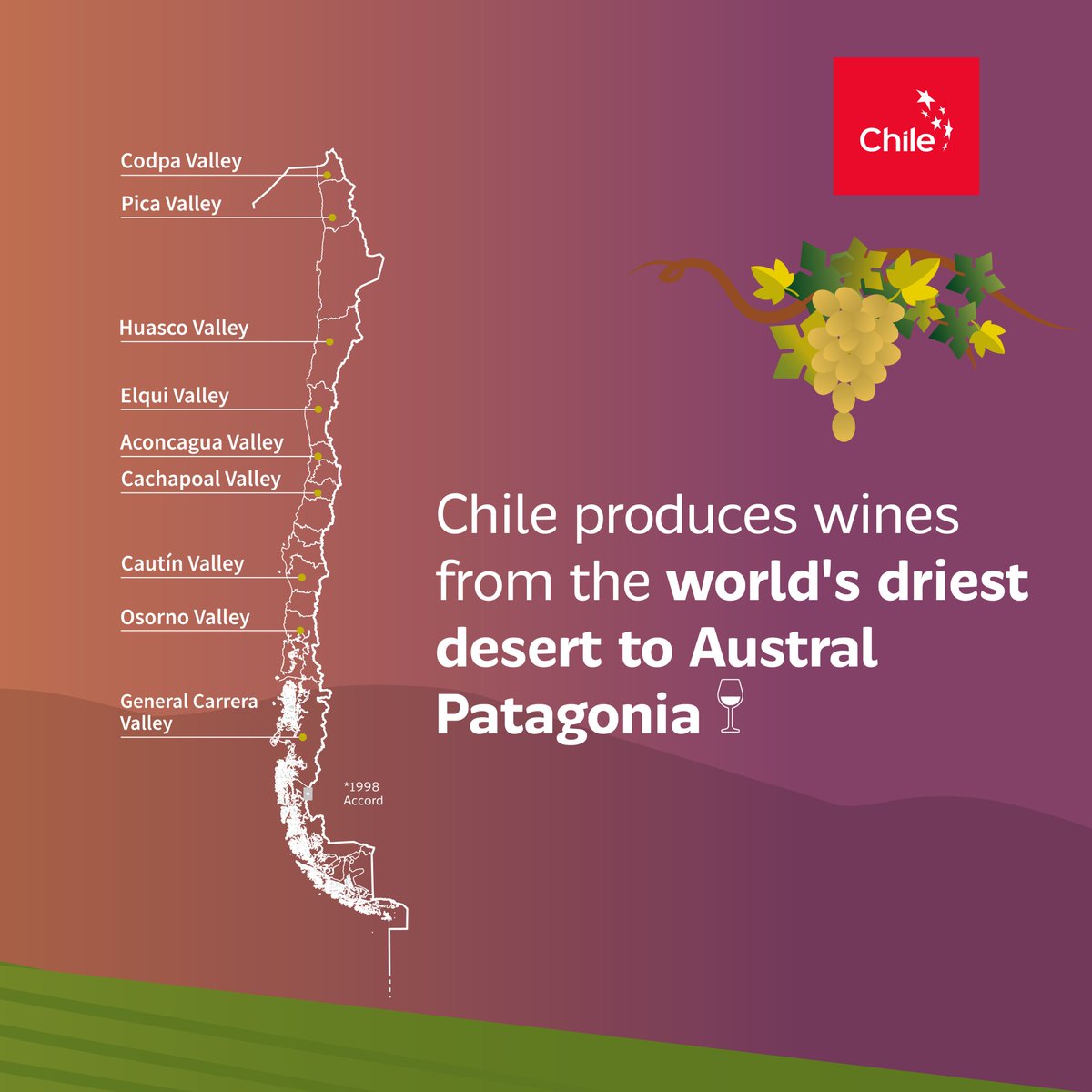 ProChile USA tweet media