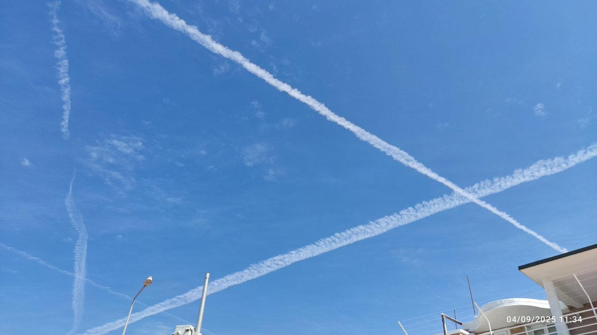 Göçmen kuslari gibi yağmur sezonunda tekrar geri geldiler...kuraklık ve susuzluk tesadüf mü!