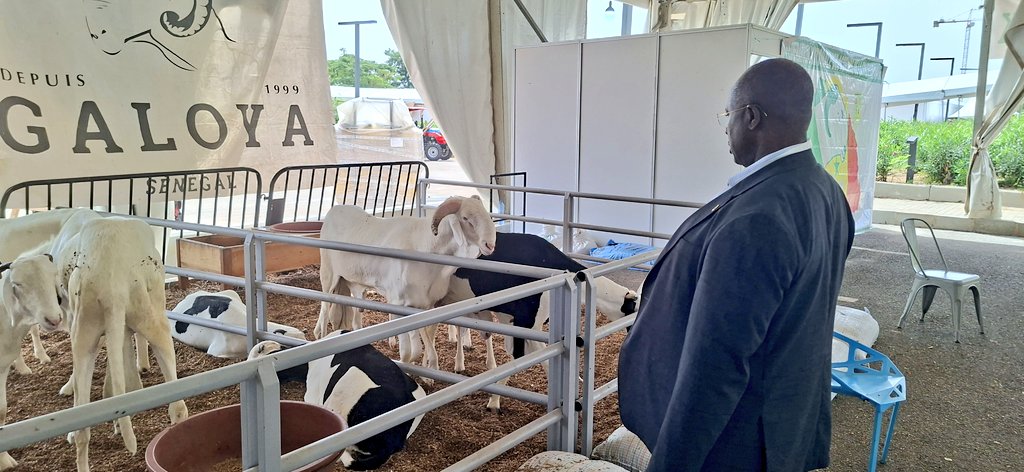 Today, i visited the exhibition area at the #AFSForum2025. 
Impressive innovations and breeds!!