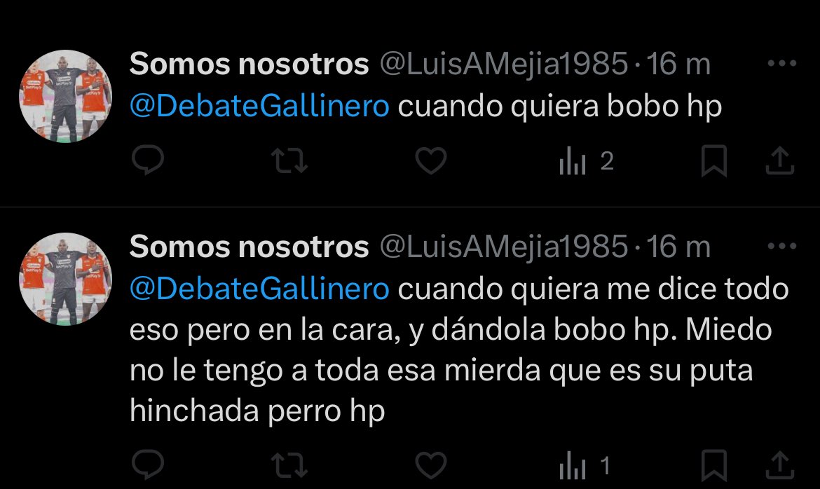 Gallinero (Daniel) tweet media