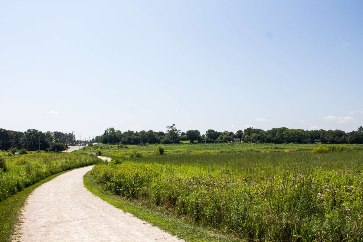 Openlands tweet media